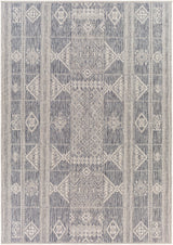 Surya Tuareg Trg-2305 Tan & Ivory Rugs.
