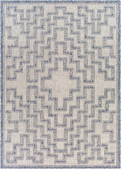 Surya Tuareg Trg-2314 Beige Rugs