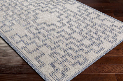 Surya Tuareg Trg-2314 Beige Area Rug