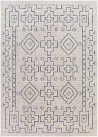 Surya Tuareg Trg-2316 Gray Rugs