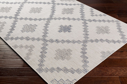 Surya Tuareg Trg-2324 Gray Area Rug