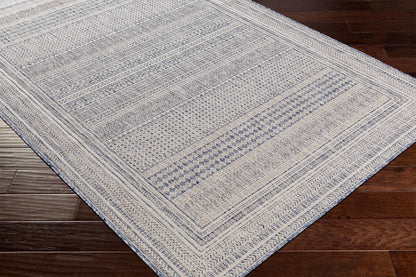 Surya Tuareg Trg-2330 Tan & Ivory Area Rug