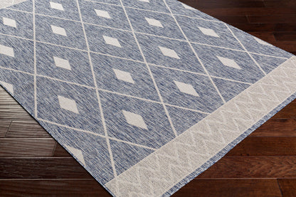 Surya Tuareg Trg-2334 Beige Area Rug