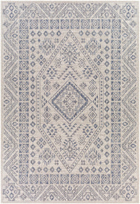 Surya Tuareg Trg-2340 Beige Rugs