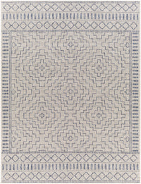 Surya Tuareg Trg-2353 Blue Area Rug