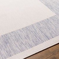 Surya Tuareg Trg-2367 Light Blue Area Rug