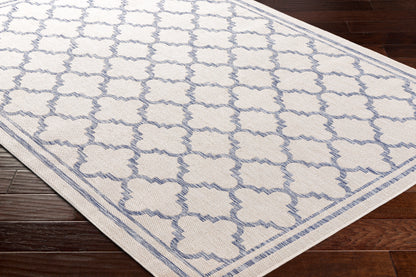 Surya Tuareg Trg-2375 Beige Area Rug