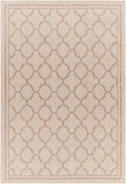 Surya Tuareg Trg-2376 Brown Area Rug