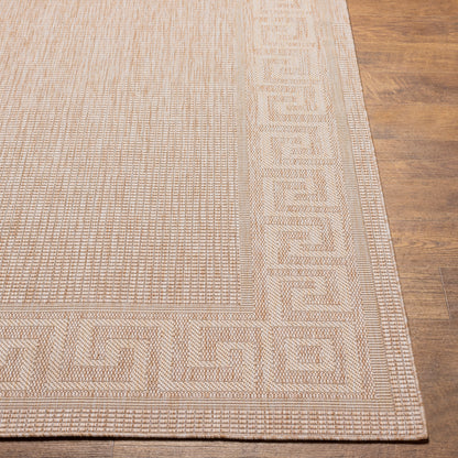 Surya Tuareg Trg-2380 Brown Area Rug