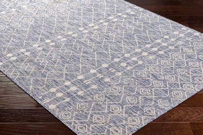 Surya Tuareg Trg-2386 Blue Area Rug