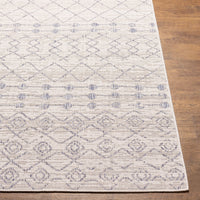 Surya Tuareg Trg-2387 Beige Area Rug