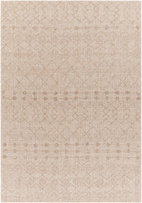 Surya Tuareg Trg-2388 Brown Area Rug