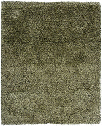 Chandra Tulip Tul17401 Green / Black Shag Area Rug