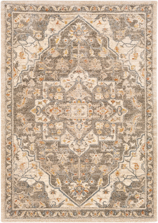 Surya Tuscany Tus-2308 Dark Brown, Denim, Metallic - Champagne, Burnt Orange Area Rug