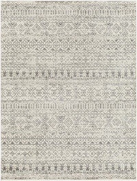 Surya Tevazu Tvz-2379 Tan & Ivory Area Rug