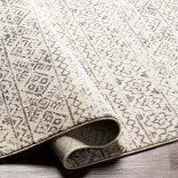 Surya Tevazu Tvz-2379 Tan & Ivory Area Rug