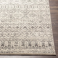 Surya Tevazu Tvz-2379 Tan & Ivory Area Rug