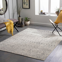 Surya Tevazu Tvz-2379 Tan & Ivory Area Rug