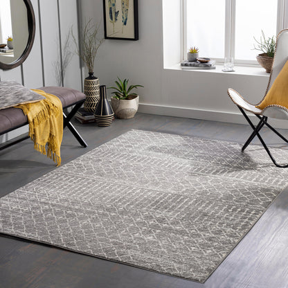 Surya Tevazu Tvz-2380 Gray Area Rug