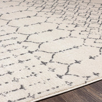 Surya Tevazu Tvz-2382 Brown Area Rug