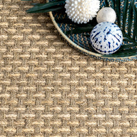 Nuloom Spero Seagrass Nsp2031A Natural Area Rug