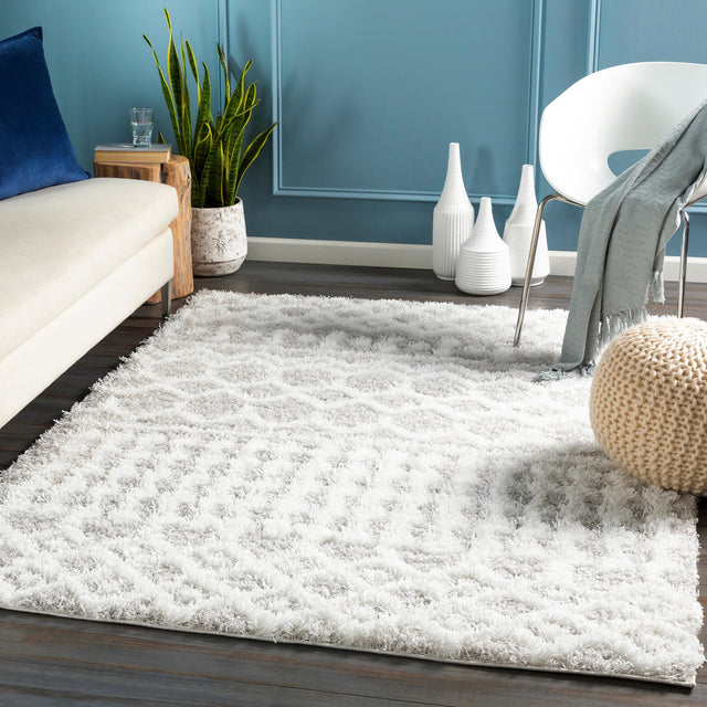 Surya Urban Shag Usg-2310 White, Light Gray Rug.