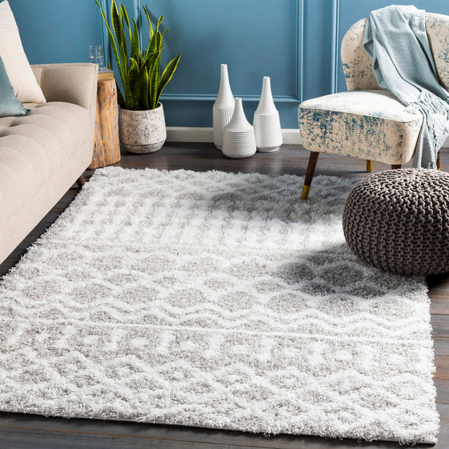 Surya Urban Shag Usg-2310 White, Light Gray Rug.