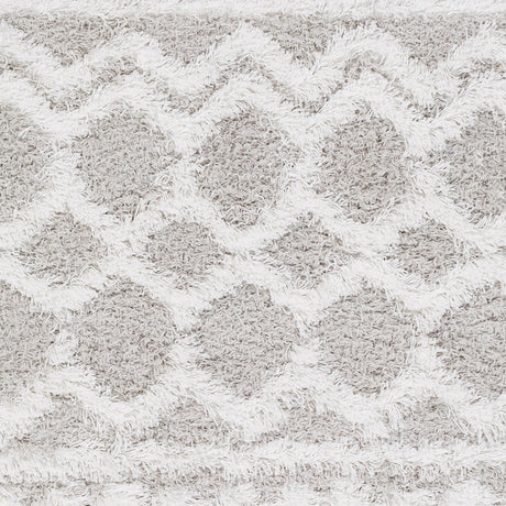 Surya Urban Shag Usg-2310 White, Light Gray Rug.