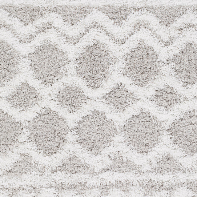 Surya Urban Shag Usg-2310 White, Light Gray Rug.