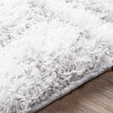 Surya Urban Shag Usg-2310 White, Light Gray Rug.