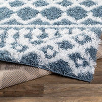 Surya Urban Shag Usg-2311 Denim, White Area Rug