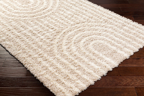 Surya Urban Shag Usg-2315 Brown Rug.