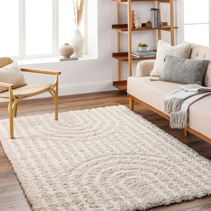 Surya Urban Shag Usg-2315 Brown Area Rug