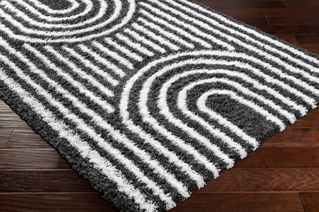 Surya Urban Shag Usg-2318 Black Rug.