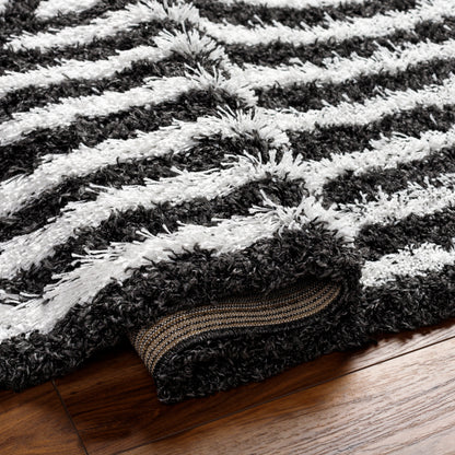 Surya Urban Shag Usg-2318 Black Area Rug