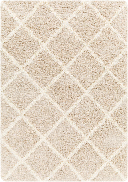 Surya Urban Shag Usg-2319 Beige Area Rug