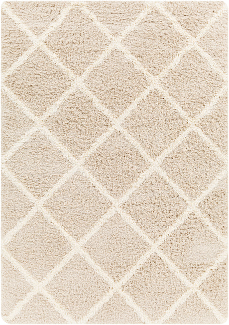 Surya Urban Shag Usg-2319 Beige Rug.