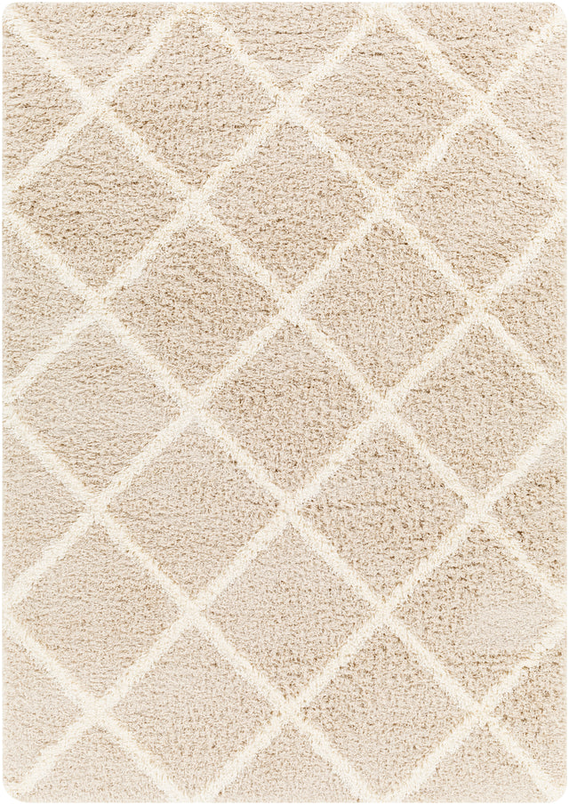 Surya Urban Shag Usg-2319 Beige Rug.