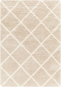 Surya Urban Shag Usg-2319 Beige Area Rug