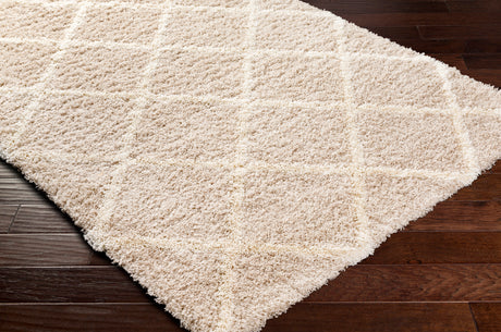 Surya Urban Shag Usg-2319 Beige Rug.