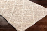 Surya Urban Shag Usg-2319 Beige Area Rug