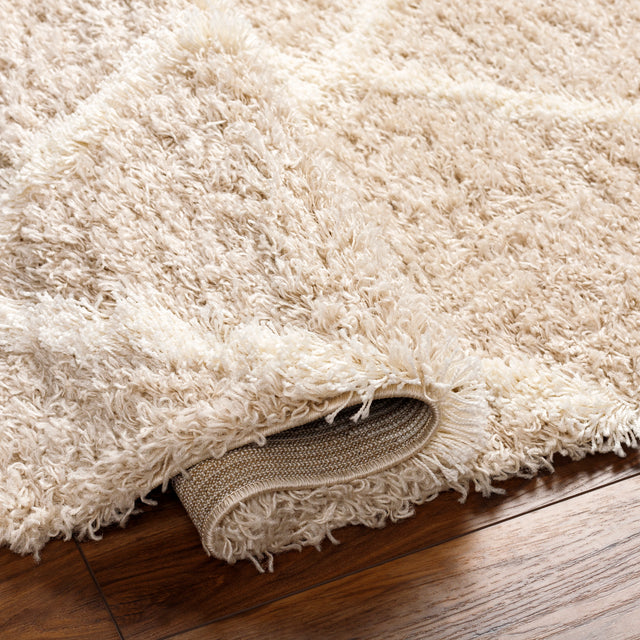 Surya Urban Shag Usg-2319 Beige Rug.