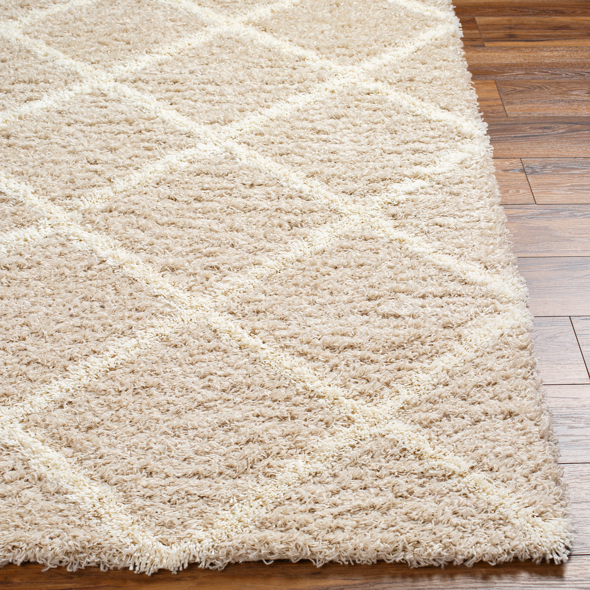 Surya Urban Shag Usg-2319 Beige Rug.