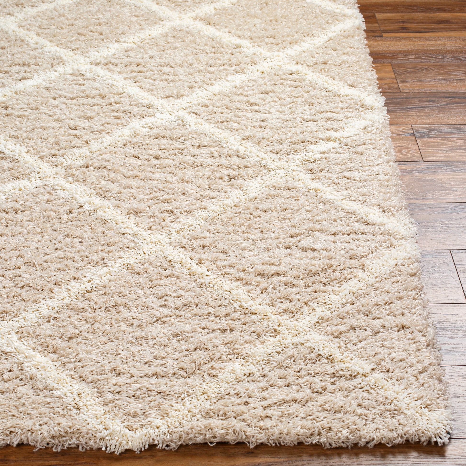 Surya Urban Shag Usg-2319 Beige Area Rug