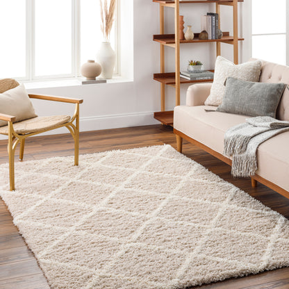 Surya Urban Shag Usg-2319 Beige Area Rug