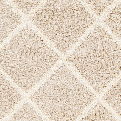 Surya Urban Shag Usg-2319 Beige Area Rug