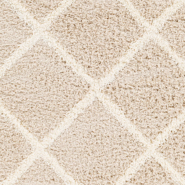 Surya Urban Shag Usg-2319 Beige Rug.