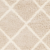 Surya Urban Shag Usg-2319 Beige Area Rug