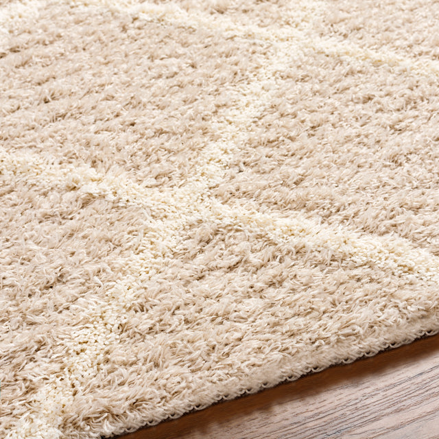 Surya Urban Shag Usg-2319 Beige Rug.