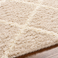 Surya Urban Shag Usg-2319 Beige Area Rug